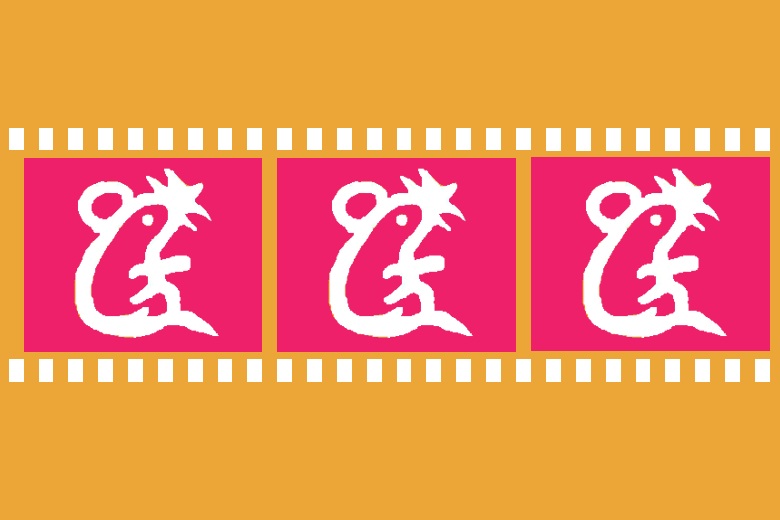站长的计算机视频及其相关资源